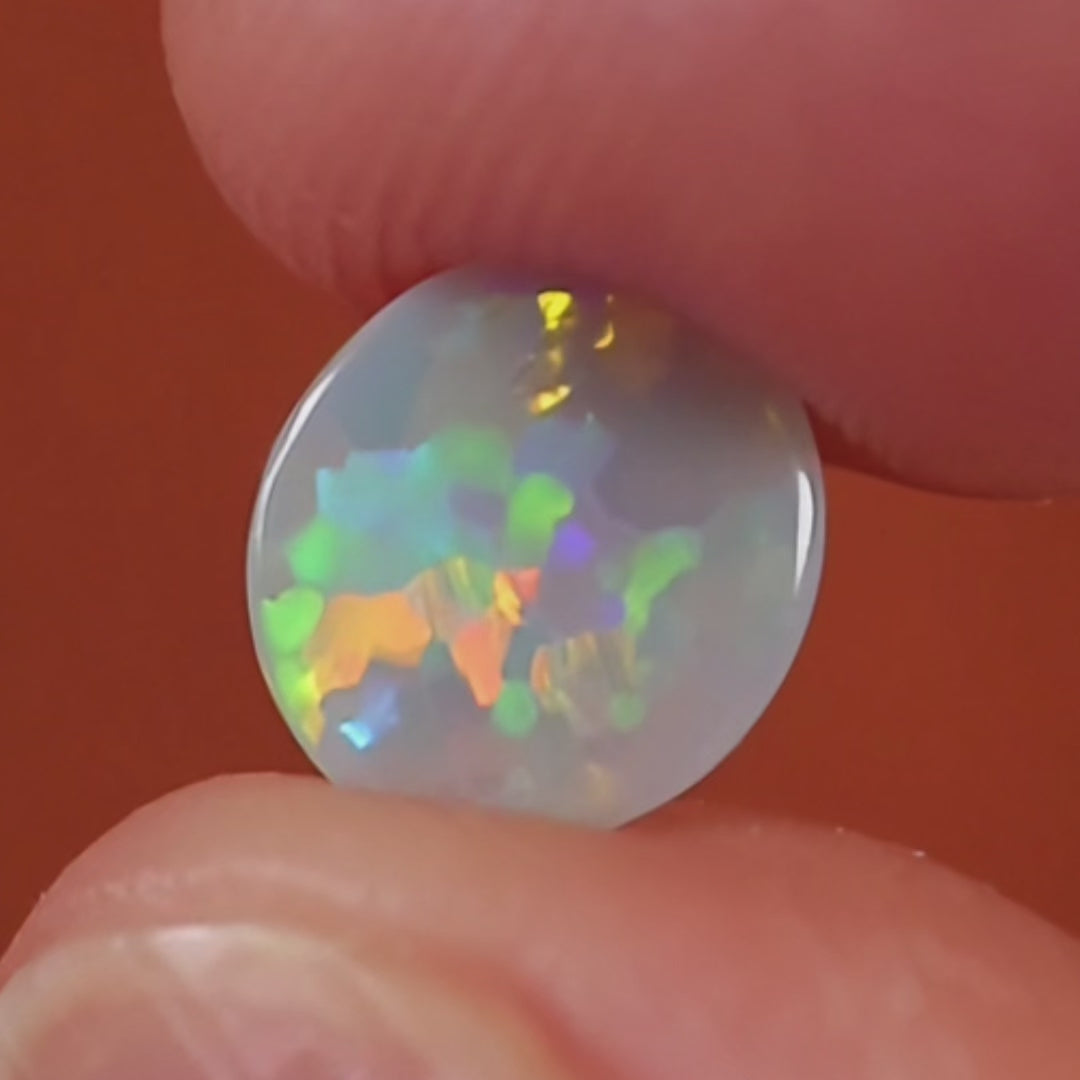 Lightning Ridge Dark Opal 0.7ct Natural Solid Vivid Multicolour Jigsaw Oval Gem