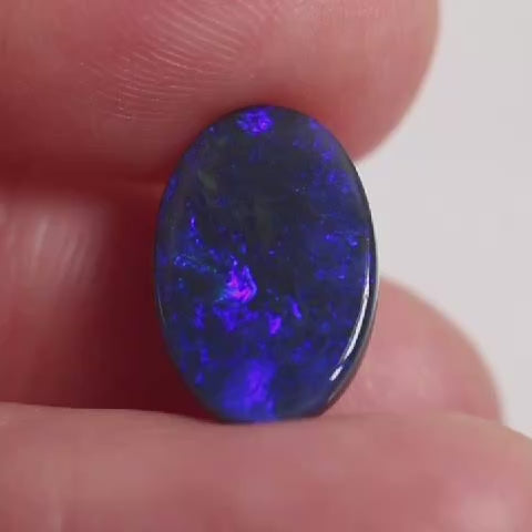2.7ct Black Opal - 9.4 x 14 x 2.9mm