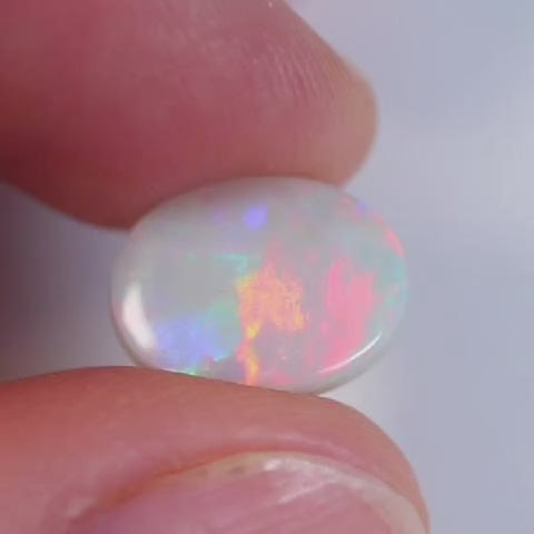 2.61ct Dark Opal - 9.3 x 11.9 x 3.3mm